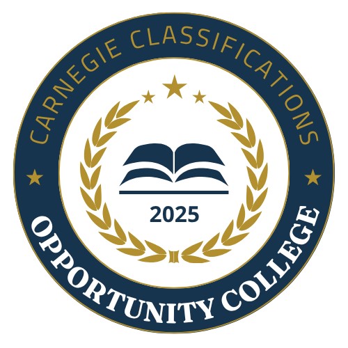 Carnegie classification award