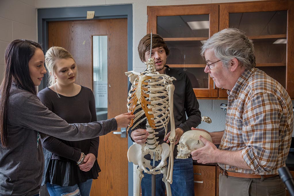 Students studying a human skeleton