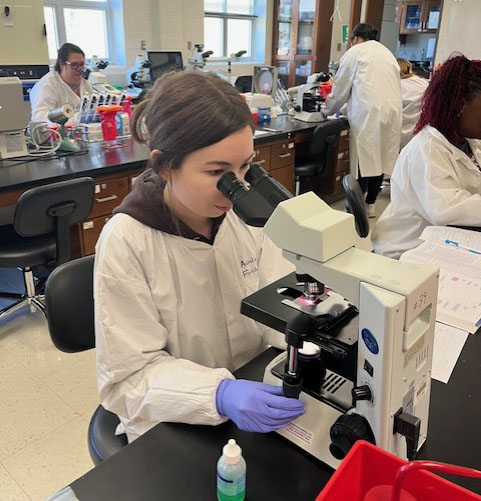 Students working in a medical lab.